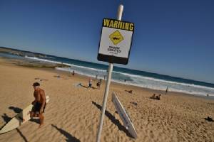 Japan closes beaches after shark sightings