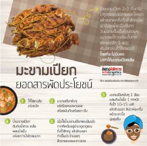 มะขามเปียก ยอดสารพัดประโยชน์