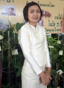 “เพชรสังฆาต” ช่วยแก้โรคกระดูกบาง