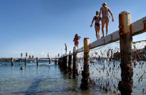 Australia to test technology after wave of shark attacks