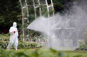 Nearly 700 killed by dengue in Brazil: health officials