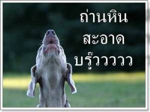 สะอ๊าด-สะอาด/ประมวล มณีโรจน์