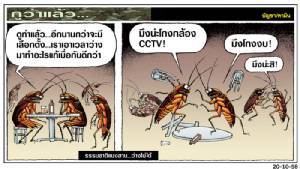 ธรรมชาติแมงสาบ...ว่างไม่ได้