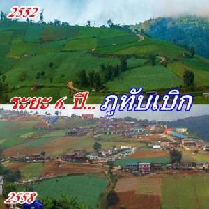 ภาพชวนอึ้ง! "ภูทับเบิก" เมื่อ 6 ปีที่แล้วเปรียบเทียบกับปัจจุบัน