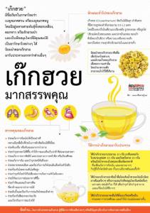 เก๊กฮวย มากสรรพคุณ