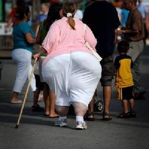 Low-fat diets not best for weight loss: study