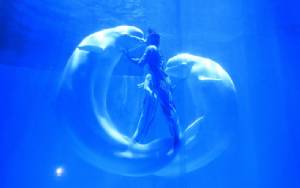 Week In Pictures : ประมวลสุดยอดภาพข่าวรอบโลกประจำสัปดาห์
