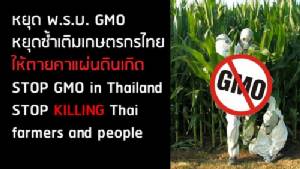 หยุด พ.ร.บ. จีเอ็มโอ ก่อนซ้ำเติมเกษตรกรไทยให้ตายคาแผ่นดินเกิด