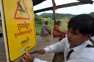 นักวิจัยเผยการรักษาโรคมาลาเรียในกัมพูชาล้มเหลวเหตุเชื้อดื้อยามากขึ้น