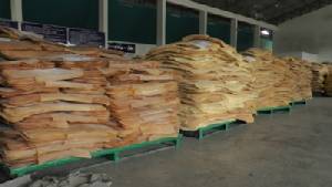 คกก.มีมติรับซื้อยางโลละ 60 บ. เร่งจ่ายชดเชยให้เสร็จในสิ้นเดือน ม.ค.