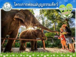 “องค์การสวนสัตว์” สร้างจิตสำนึกการอนุรักษ์สัตว์ป่า ผุดโครงการ พ่อแม่บุญธรรมสัตว์