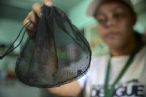 Colombia issues alert over expanding Zika virus