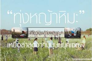 เที่ยวเชิงล้างผลาญ! "ทุ่งหญ้าหิมะ" เหยื่อล่าสุดจากมนุษย์ยุคเซลฟี่