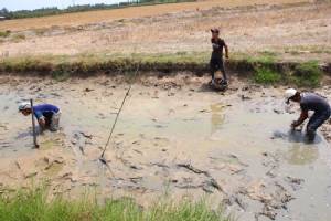 Climate change poised to hurt food supplies: study