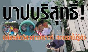 บาปบริสุทธิ์! ปล่อยสัตว์สะเดาะเคราะห์ ตกนรกไม่รู้ตัว