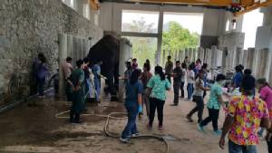ทีมสัตวแพทย์ร่วมสวนสัตว์เปิดเขาเขียวผสมเทียมเชื้อสดอนุรักษ์ช้างไทย
