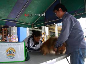 เทศบาลเมืองเบตงรณรงค์ฉีดวัคซีนป้องกันโรคพิษสุนัขบ้าช่วงหน้าร้อน