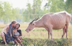 ทำไมต้องใส่สูท!? สาวศรีสะเกษควงหนุ่มนักธุรกิจเดนมาร์กใส่ผ้าถุงนุ่งโจงกระเบนถ่ายพรีเวดดิ้งในบรรยากาศลูกทุ่งๆ แบบไทยๆ