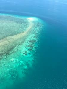 นักวิทย์เผยพืดปะการังมรดกโลก “เกรทแบริเออร์รีฟ” ฟอกขาวรุนแรงเป็นประวัติการณ์