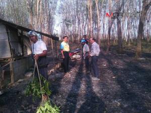 ไฟไหม้สวนยางพาราพัทลุง ได้รับความเสียหายกว่า 70 ไร่