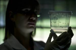 Belize wary over US suspicion woman caught Zika on trip