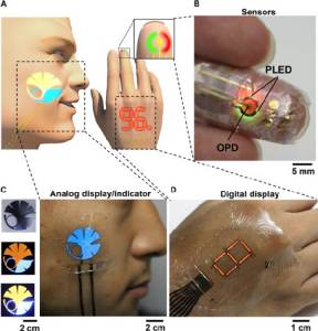 ญี่ปุ่นโชว์ “E-Skin” จอแสดงผลแปะผิวหนังที่บางเพียง 3 ไมครอน