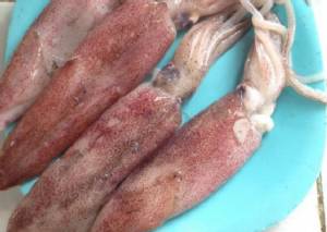 สำรวจพบ “ปลาหมึกกรอบ” ปนเปื้อนฟอร์มาลินมากสุด