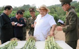 FAO เผย “เกาหลีเหนือ” ผลิตอาหารได้น้อยลงเป็นครั้งแรกนับตั้งแต่ปี 2010