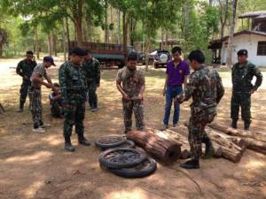 สระแก้วบูรณาการปราบมอดไม้ผืนป่าดงพญาเย็น-เขาใหญ่