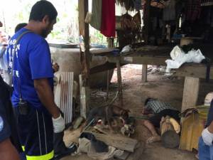หนุ่มใหญ่เมืองตราดเป็นลมดับ เจ้าตูบคู่ชีวิตเฝ้าศพไม่ห่าง