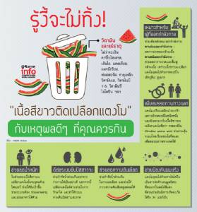 รู้งี้จะไม่ทิ้ง! "เนื้อสีขาวติดเปลือกแตงโม" กับเหตุผลดีๆ ที่ควรกิน
