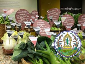 เตรียมยื่นศาลปกครองฟัน “กรมวิชาการเกษตร” ละเลยปฏิบัติหน้าที่ รับรอง ผัก-ผลไม้ ทั้งที่สารเคมีตกค้างเกินมาตรฐาน