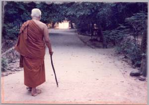 วันล้ออายุ  ชาตกาล 110 ปี พุทธทาสภิกขุ