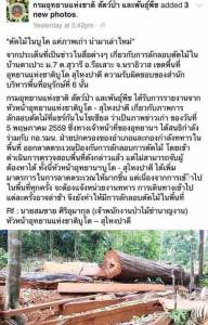 พิลึก! ลอบตัดไม้บนเขาบูโด อุทยานฯ ใช้มุกอ้างภาพข่าวเก่า เครือข่ายชาวบ้านจี้ปราบปรามจริงจัง