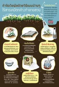 กำจัดวัชพืชด้วยวิธีแบบบ้านๆ ไร้สารเคมีตกค้าง