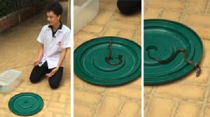 ชมคลิปชัด ๆ "สถานเสาวภา" ทดสอบ "งู" ไม่กลัวน้ำมันก๊าดเลยจ้า เตือนแชร์อะไรควรเช็คก่อน
