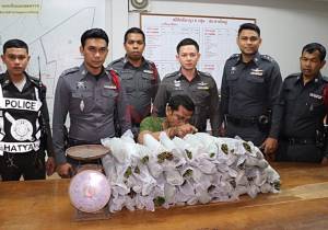 ตำรวจจับเครือข่ายค้าใบกระท่อมลอบขนจากปาดังฯ ไปขายที่หาดใหญ่