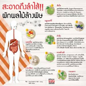 สะอาดถึงลำไส้!! ผักผลไม้ล้างพิษ