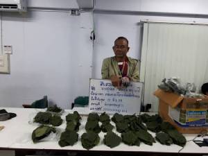 รวบ “เสือใบ” พ่อค้าใบกระท่อมย่านอ่อนนุช พร้อมของกลาง 1,130 ใบ