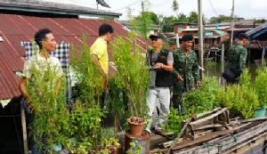 บุกค้นบ้านในนนทบุรี ลักลอบปลูกกัญชา 10 ต้น