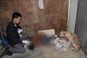 สงสารเจ้าตูบบอดกตัญญู! หวงศพเจ้านายหักดิบเลิกเหล้าเข้าพรรษา