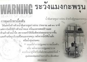 เมืองพัทยาเตือนนักท่องเที่ยวระวังอันตรายจากแมงกะพรุน