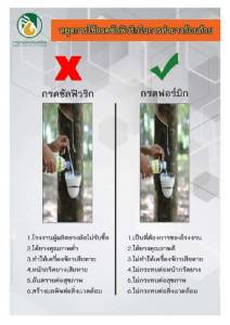 ไม่ใช่แค่เรื่องโอละพ่อ ปล่อยข่าว “มิชลิน บริดจสโตน” ไม่รับซื้อ  “ยางอีสาน” เรื่องนี้มีเงื่อนงำ