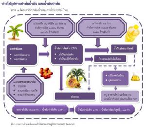 “พาณิชย์” คลอดยุทธศาสตร์ปาล์มน้ำมัน 20 ปี เน้นเพิ่มผลผลิต ลดต้นทุน ทำเป็นสินค้านวัตกรรม
