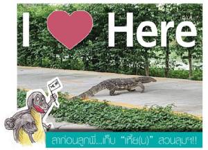 ปรับภูมิทัศน์สวนลุมฯ ทำความสะอาดใหม่หมด พ่วงจัดระเบียบตัวเงินตัวทอง