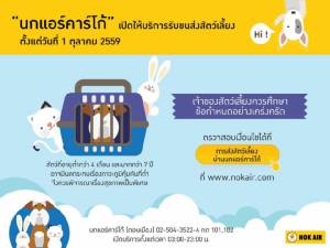 “นกแอร์” ฟื้นบริการขนส่งสัตว์เลี้ยงใหม่ 1 ต.ค.นี้ เช็กอินผ่าน “นกแอร์คาร์โก้”