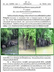 ม.44 สั่งเก็บ DNA ช้าง-ทำเครื่องหมายประจำตัว แก้ปัญหาช้างเถื่อน