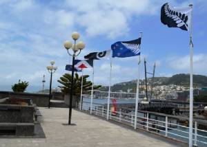 Indian jailed for killing pregnant girlfriend in New Zealand