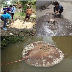 เสียงเพรียกจาก “กระเบนราหู” ณ สุสานการฆ่าล้างเผ่าพันธุ์เมืองแม่กลอง