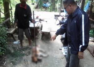 จับตา 12 วัยรุ่น ขุดกินซาก “หมาบ้า” เตือนกินเนื้อหมาเสี่ยงรับเชื้อได้